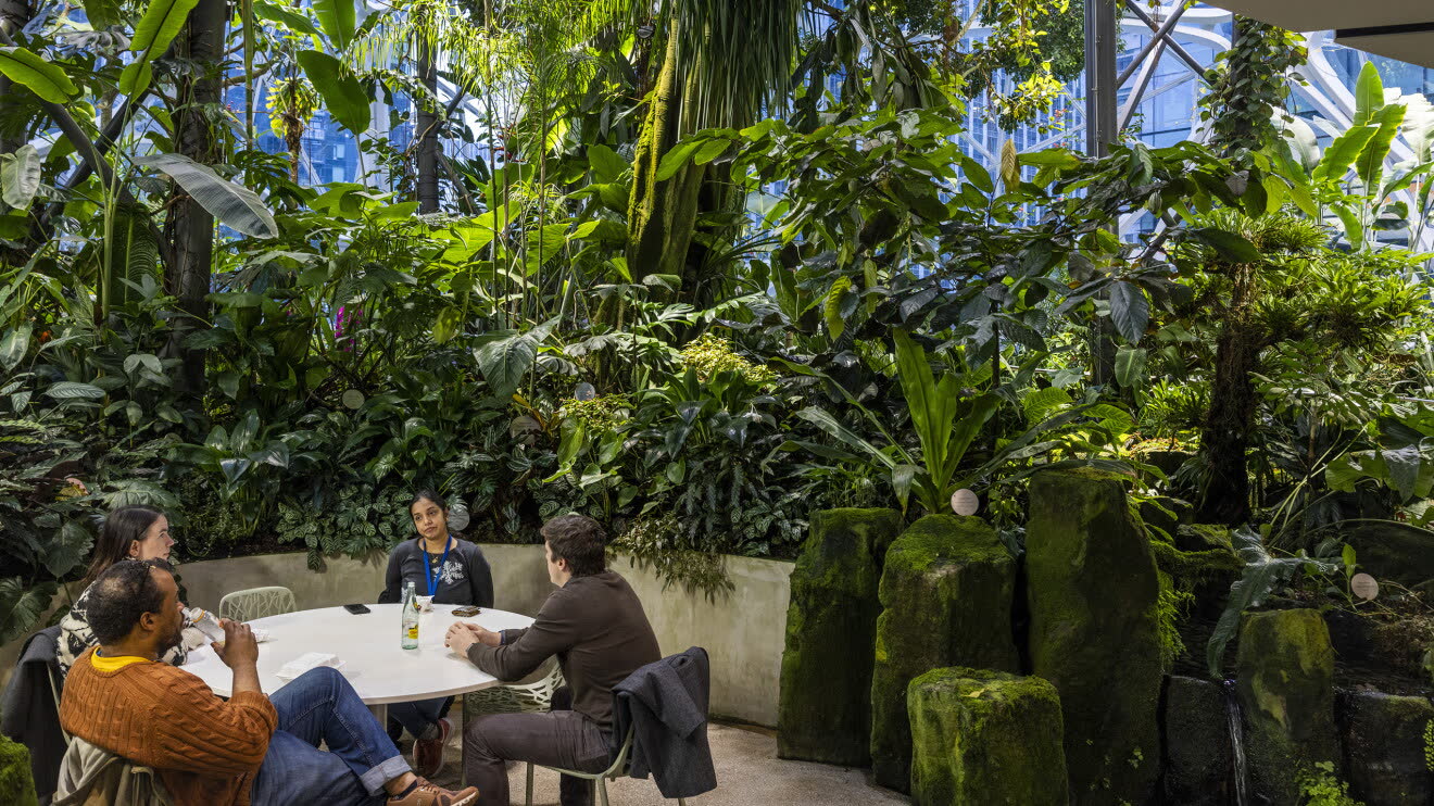 دو همکار پشت میز گرد کنار صخره‌ها و گیاهان در Amazon Spheres سیاتل